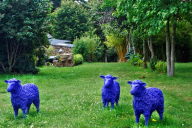 Photographie intitulée "Trois moutons bleus" par Ernest Tosetti, Œuvre d'art originale, Photographie numérique