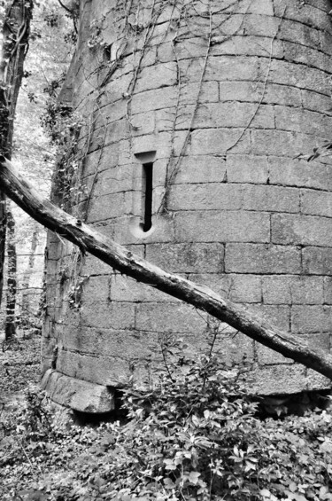Photographie intitulée "Ruine de chateau en…" par Ernest Tosetti, Œuvre d'art originale, Photographie numérique