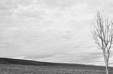 Photographie intitulée "L'arbre et l'horizon" par Ernest Tosetti, Œuvre d'art originale, Photographie numérique