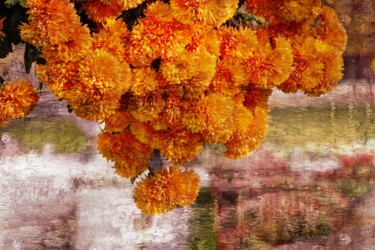 Photography titled "Une grappe de fleurs" by Ernest Tosetti, Original Artwork, Manipulated Photography