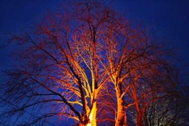 Fotografía titulada "l'arbre et la lumiè…" por Ernest Tosetti, Obra de arte original, Fotografía digital