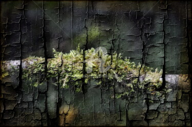 Photography titled "Art 55" by Ernest Tosetti, Original Artwork, Manipulated Photography