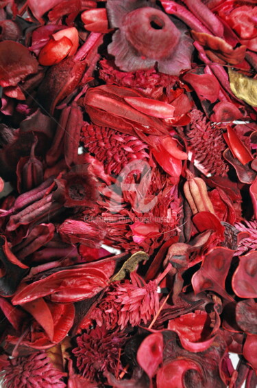 "Tapis de fleurs séc…" başlıklı Fotoğraf Ernest Tosetti tarafından, Orijinal sanat, Dijital Fotoğrafçılık