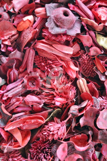 Photographie intitulée "Tapis de fleurs séc…" par Ernest Tosetti, Œuvre d'art originale, Photographie numérique