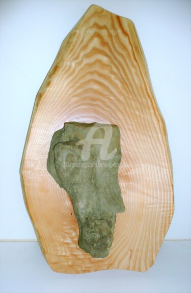 Skulptur mit dem Titel "Stoneface" von Erwin Bruegger, Original-Kunstwerk, Stein Auf Holzplatte montiert