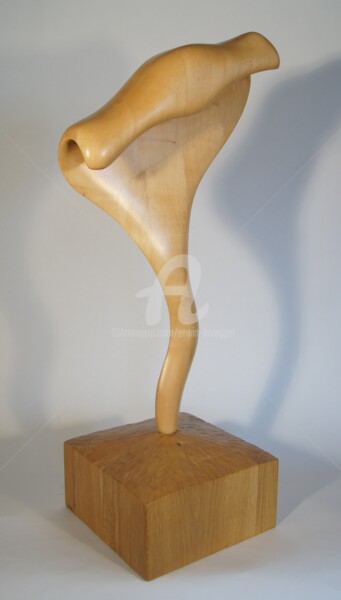 Skulptur mit dem Titel "Tristeza" von Erwin Bruegger, Original-Kunstwerk, Holz