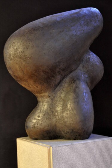 Sculptuur getiteld "beeld24-laag.jpg" door Erwin Houssin, Origineel Kunstwerk