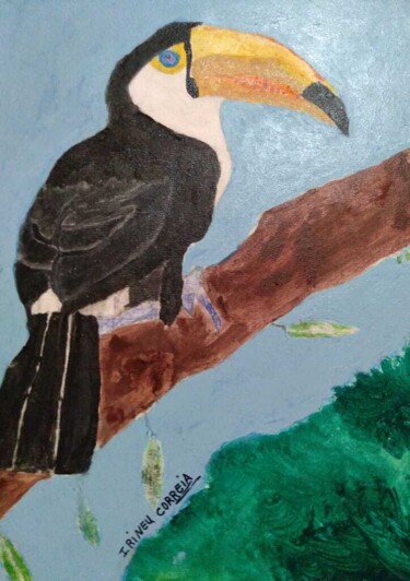 Painting titled "O tucano" by Escritor Irineu Correia, Original Artwork, Acrylic