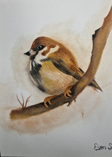 Disegno intitolato "Goldfinch" da Esen Susuz Terzi, Opera d'arte originale, Acquarello