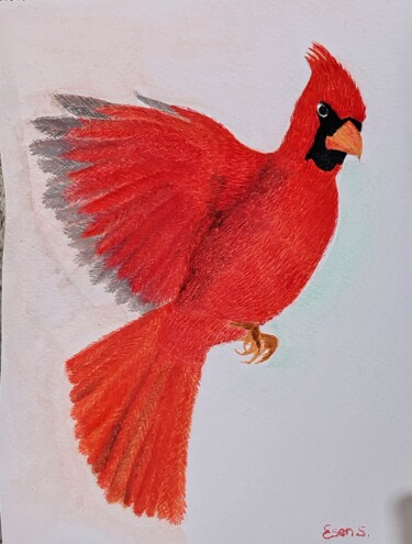 Dibujo titulada "Cardinal" por Esen Susuz Terzi, Obra de arte original, Acuarela