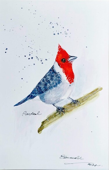 제목이 "Pássaro Cardeal"인 미술작품 Esmerald Mell로, 원작, 수채화