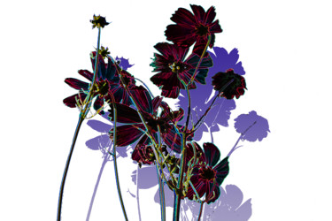 Digitale Kunst mit dem Titel "Fleur bleue" von Gérard Esquerre, Original-Kunstwerk, Digitale Malerei Auf Andere starre Platt…
