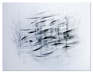 Dibujo titulada "Passages" por Gérard Esquerre, Obra de arte original, Lápiz Montado en Cartulina