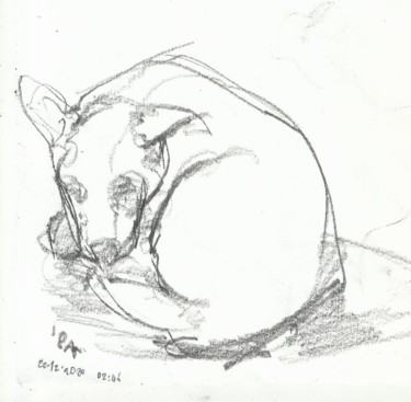 Desenho intitulada "uyuyan köpek çizim…" por Esra Aysu Çeşme, Obras de arte originais, Carvão