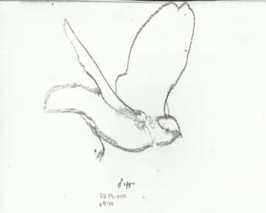 Drawing titled "fly lıttle bırd" by Esra Aysu Çeşme, Original Artwork, Charcoal