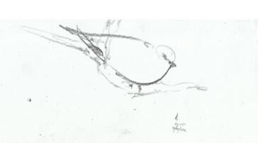 Dessin intitulée "dove" par Esra Aysu Çeşme, Œuvre d'art originale, Crayon