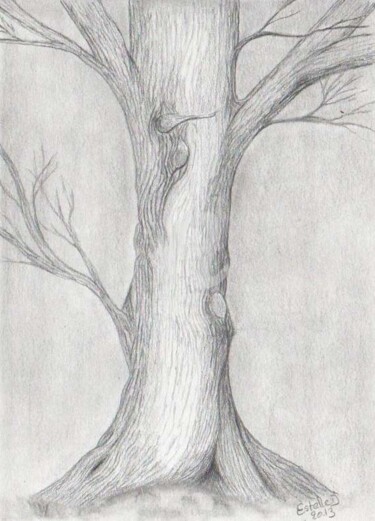Dessin intitulée "Sa majesté le chêne" par Estelle D, Œuvre d'art originale