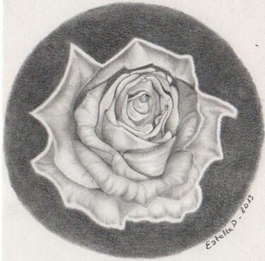 Drawing titled "rose en noir et bla…" by Estelle D, Original Artwork, Other