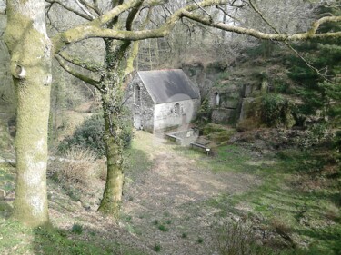 Photographie intitulée "Site Gallo-Romain d…" par Estelle D, Œuvre d'art originale