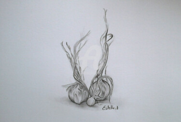 Dessin intitulée "bulbes" par Estelle D, Œuvre d'art originale, Graphite