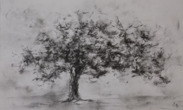 Рисунок под названием "Cerisier" - Estelle Darve, Подлинное произведение искусства, Древесный уголь