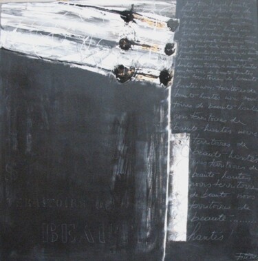 Картина под названием "noirs territoires d…" - Esteves De Cooman, Подлинное произведение искусства, Акрил