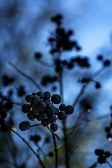 Photographie intitulée "oscuro" par Sandra Estupinan, Œuvre d'art originale