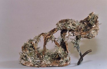 Sculpture intitulée "chaussure d'elfe.Sé…" par Carole Louise Barbier, Œuvre d'art originale