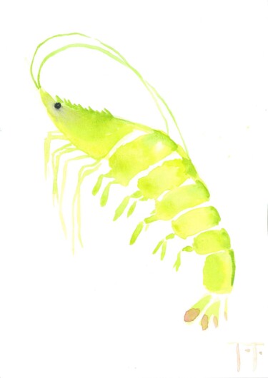 Pintura intitulada "Shrimp 1" por Etienne Dincuff, Obras de arte originais, Aquarela