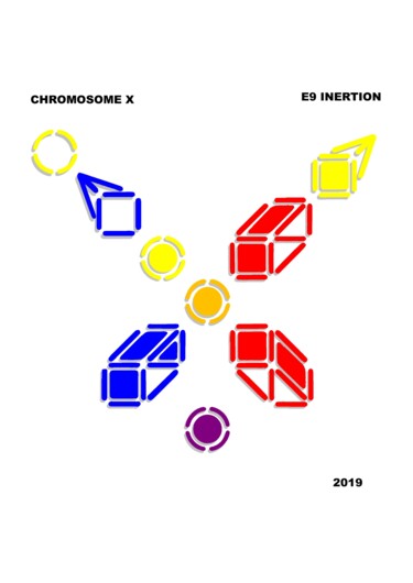 Arts numériques intitulée "chromosome X" par Etienne Frouin (E9 Inertion), Œuvre d'art originale, Travail numérique 2D