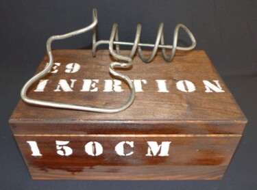 Sculpture intitulée "150CM10, le micro s…" par Etienne Frouin (E9 Inertion), Œuvre d'art originale, Métaux