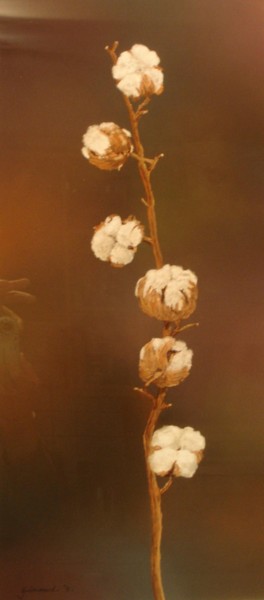 Dessin intitulée "Fleur de coton" par Etienne Guérinaud, Œuvre d'art originale, Pastel Monté sur Carton