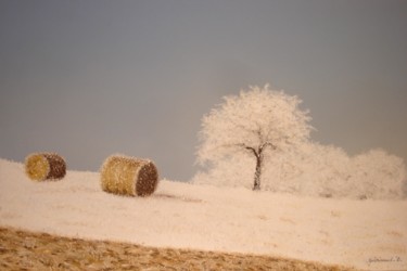Dessin intitulée "C'est L'hiver" par Etienne Guérinaud, Œuvre d'art originale, Pastel