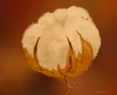 Dessin intitulée "Fleur de coton (3)" par Etienne Guérinaud, Œuvre d'art originale, Pastel Monté sur Autre panneau rigide