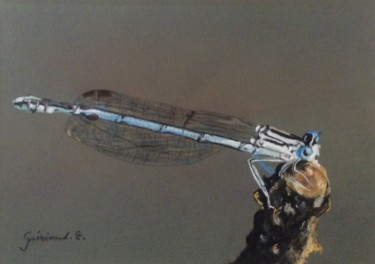 Рисунок под названием "Libellule(2)" - Etienne Guérinaud, Подлинное произведение искусства, Пастель Установлен на картон