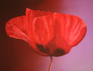 Dessin intitulée "Le coquelicot (2)" par Etienne Guérinaud, Œuvre d'art originale, Pastel Monté sur Carton