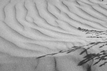 Photographie intitulée "Dunes" par Etienne Sabattier, Œuvre d'art originale