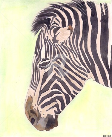 Painting titled "zebra" by Ellen Hendrikx, Original Artwork, Watercolor