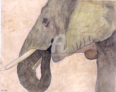 Painting titled "elephant" by Ellen Hendrikx, Original Artwork, Watercolor
