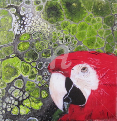 Peinture intitulée "red parrot" par Ellen Hendrikx, Œuvre d'art originale, Acrylique