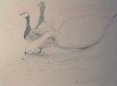 Drawing titled "Des oiseaux au bord…" by Etsuko Migii, Original Artwork, Pencil