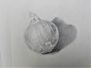 Drawing titled "un oignon" by Etsuko Migii, Original Artwork, Pencil