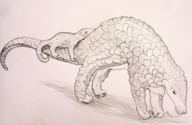 Drawing titled "pangolin.." by Etzi, Original Artwork, Pencil