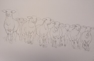 Tekening getiteld "les moutons curieux…" door Etzi, Origineel Kunstwerk, Potlood