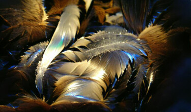 Arts numériques intitulée "Shinny Feathers" par Eugen Matzota (Mandello), Œuvre d'art originale, Image générée par l'IA