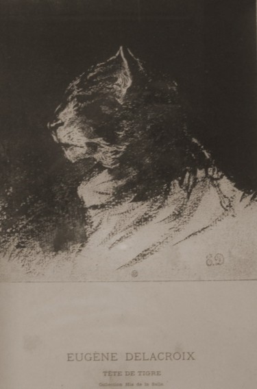 Gravures & estampes intitulée "TETE DE TIGRE" par Eugène Delacroix, Œuvre d'art originale, Gravure