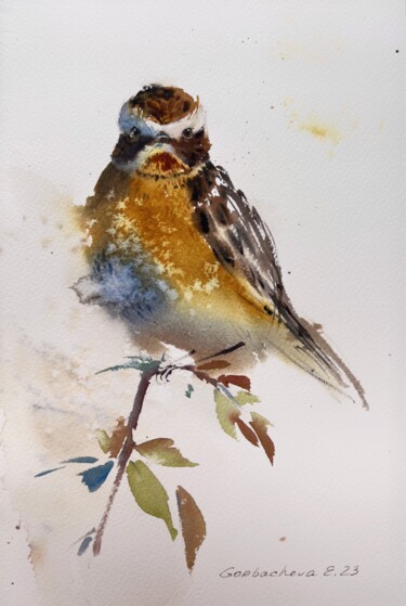 Картина под названием "Meadow bird" - Eugenia Gorbacheva, Подлинное произведение искусства, Акварель