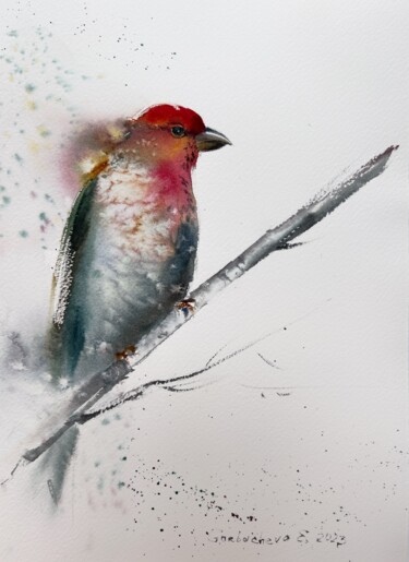 Painting titled "Red bird #2" by Eugenia Gorbacheva, Original Artwork, Watercolor