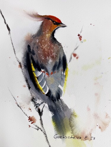 Malerei mit dem Titel "Waxwing bird" von Eugenia Gorbacheva, Original-Kunstwerk, Aquarell