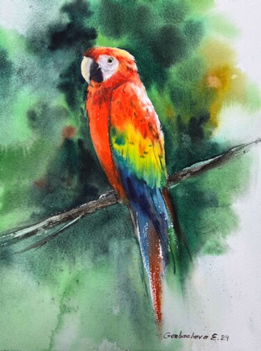 Peinture intitulée "Ara parrot" par Eugenia Gorbacheva, Œuvre d'art originale, Aquarelle